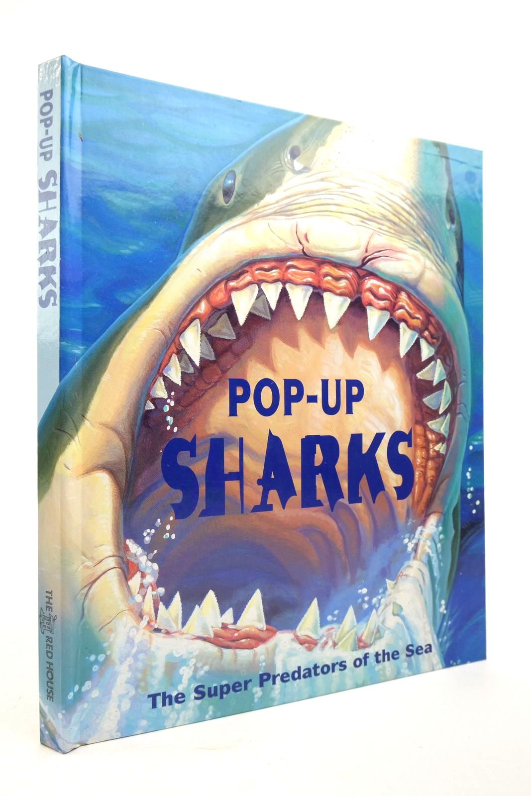 Photo of POP-UP SHARKS- Stock Number: 2140840
