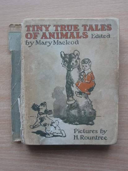 Photo of TINY TRUE TALES OF ANIMALS- Stock Number: 571661