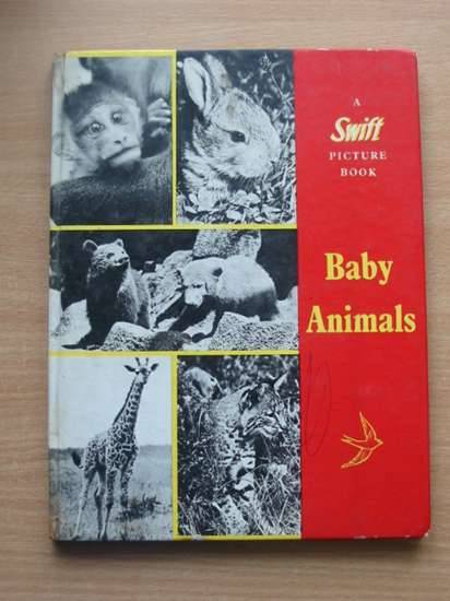 Photo of BABY ANIMALS written by Burton, Jane published by Longacre Press Ltd. (STOCK CODE: 571731)  for sale by Stella & Rose's Books