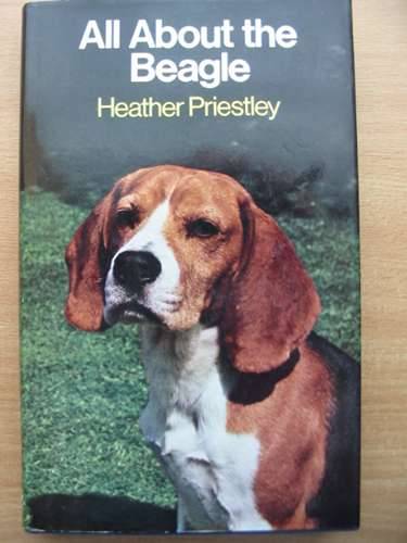 Photo of ALL ABOUT THE BEAGLE written by Priestley, Heather published by Pelham Books (STOCK CODE: 573090)  for sale by Stella & Rose's Books