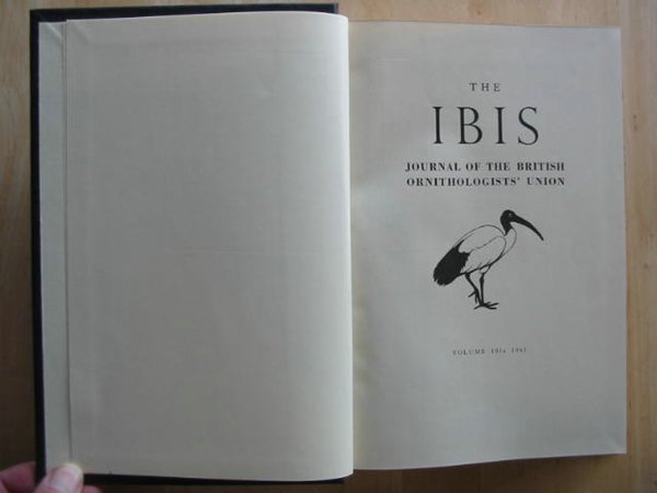 Photo of THE IBIS VOLUME 103A- Stock Number: 575457