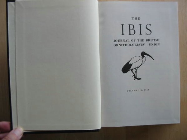 Photo of THE IBIS VOLUME 110- Stock Number: 575460