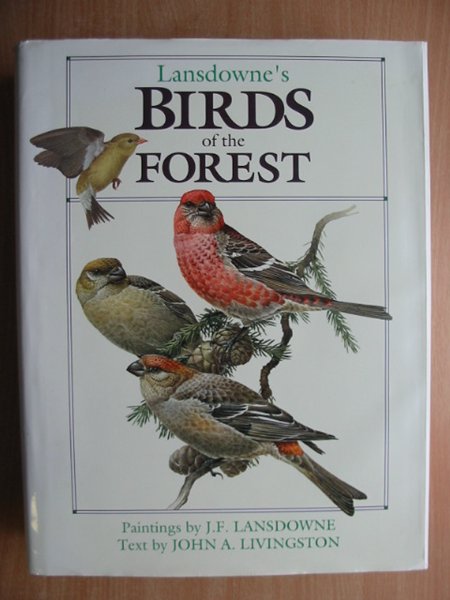 Stella & Rose's Books : Lansdowne's Birds Of The Forest Written By John 