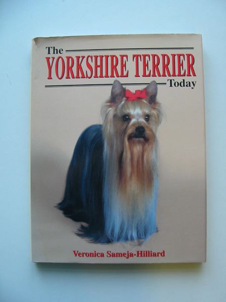 Photo of THE YORKSHIRE TERRIER TODAY- Stock Number: 597333