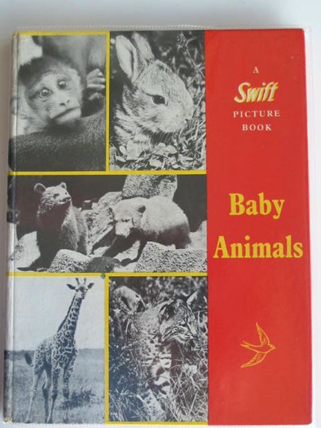 Photo of BABY ANIMALS written by Burton, Jane published by Longacre Press Ltd. (STOCK CODE: 622381)  for sale by Stella & Rose's Books