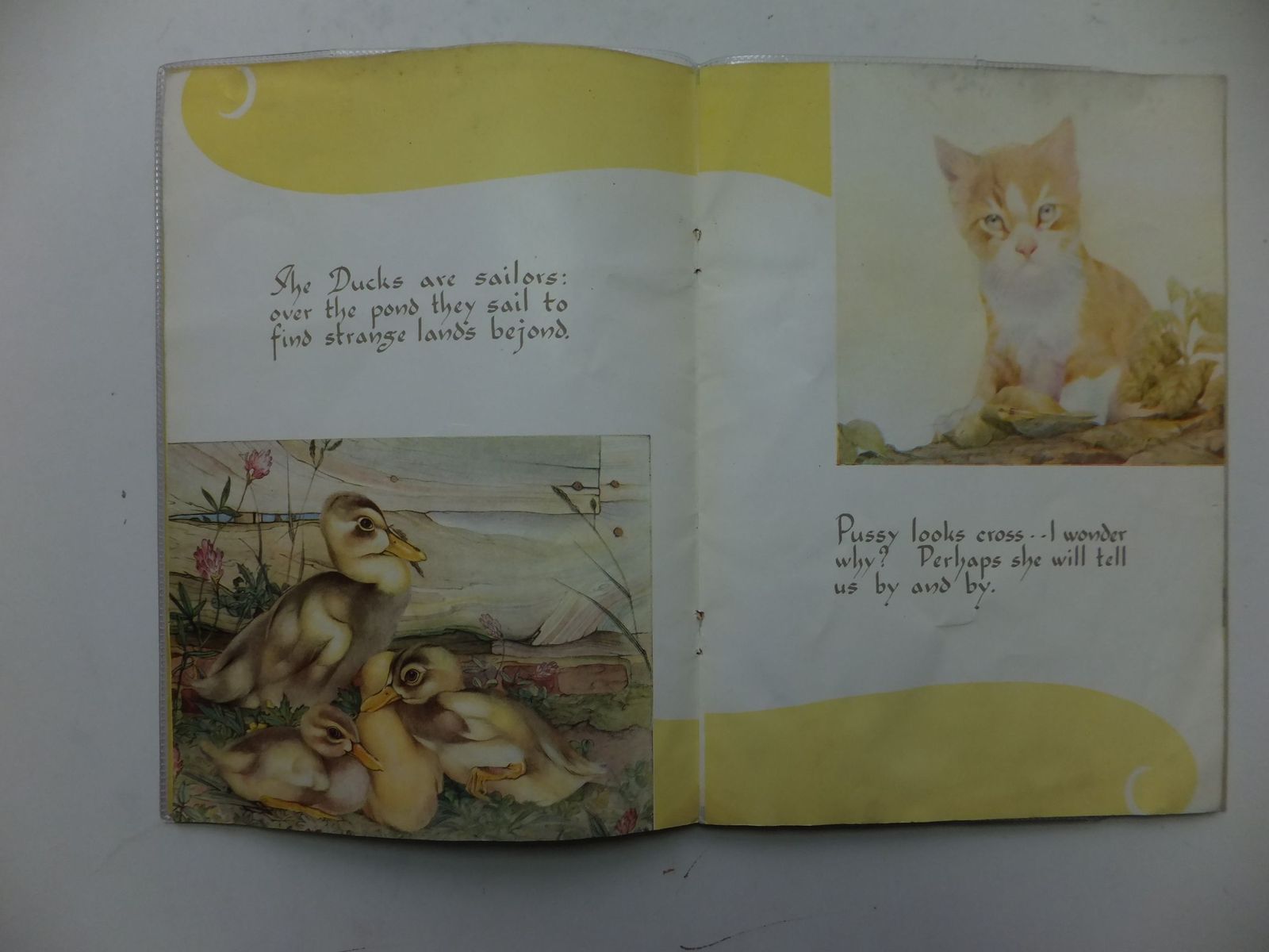 Photo of FRIENDLY ANIMALS illustrated by Detmold, Edward J. published by Oxford University Press (STOCK CODE: 623274)  for sale by Stella & Rose's Books