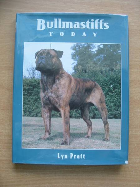 Photo of BULLMASTIFFS TODAY written by Pratt, Lyn published by Ringpress Books (STOCK CODE: 626292)  for sale by Stella & Rose's Books