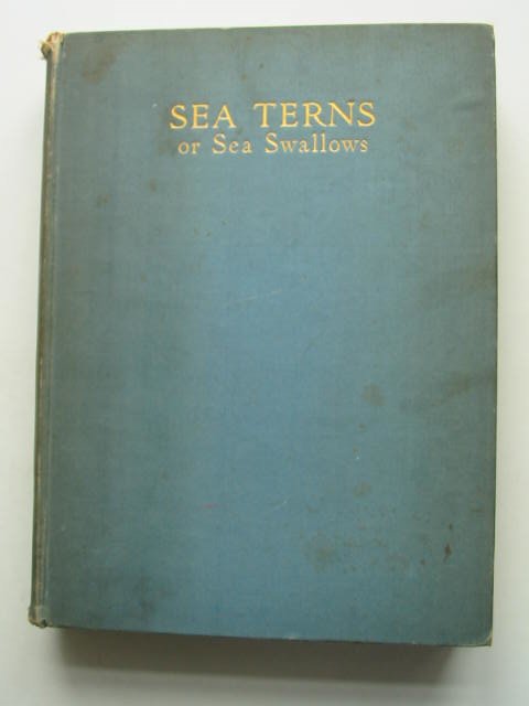Photo of SEA TERNS OR SEA SWALLOWS written by Marples, George Marples, Anne published by Country Life Limited (STOCK CODE: 631487)  for sale by Stella & Rose's Books