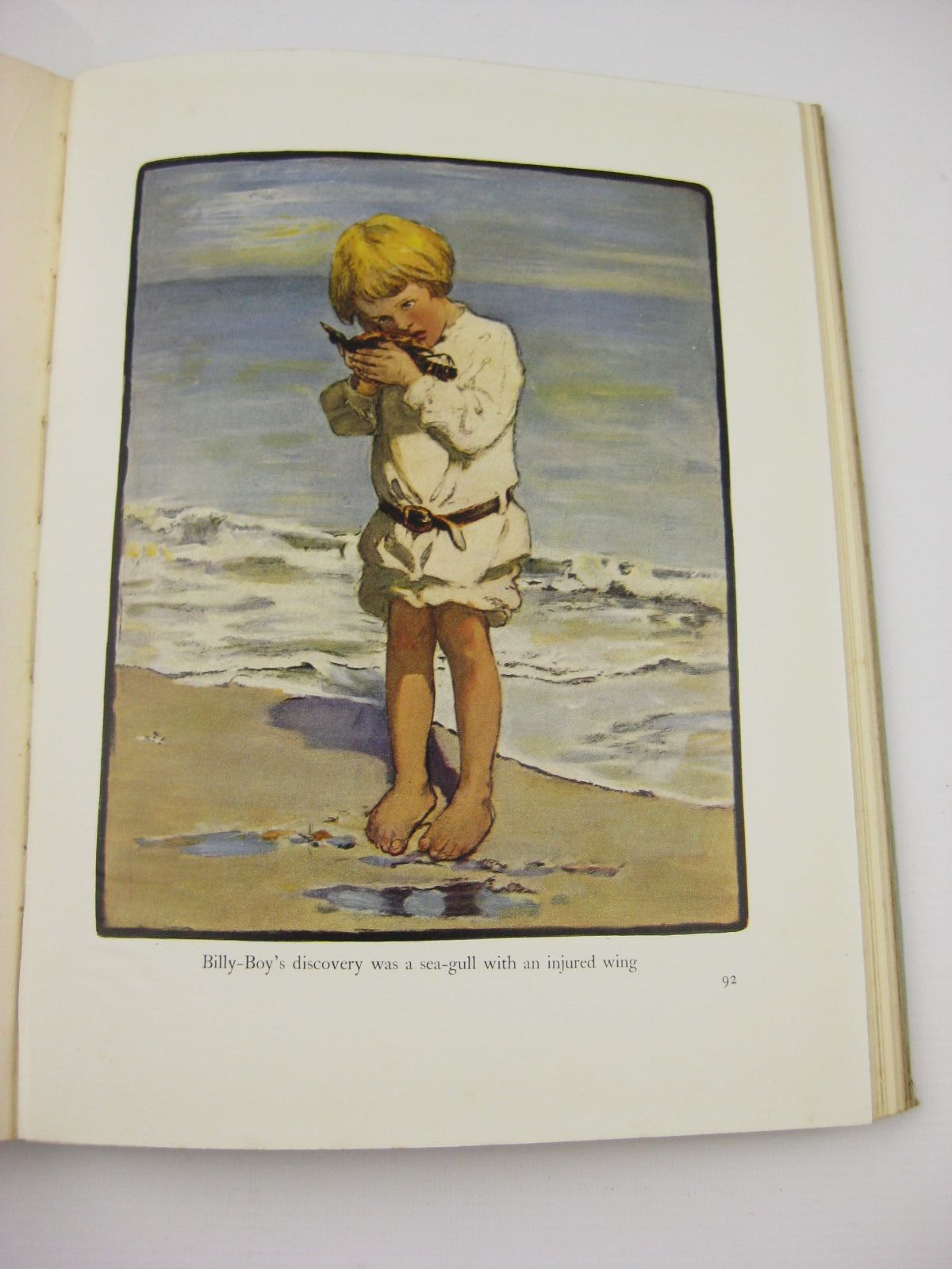 Photo of THE EVERYDAY FAIRY BOOK written by Chapin, Anna Alice illustrated by Smith, Jessie Willcox published by J. Coker & Co. Ltd. (STOCK CODE: 710687)  for sale by Stella & Rose's Books