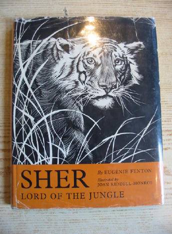Photo of SHER LORD OF THE JUNGLE- Stock Number: 712304