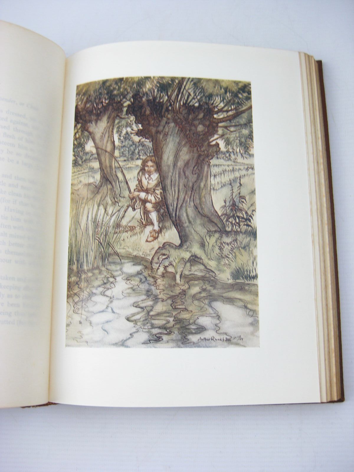Photo of THE COMPLEAT ANGLER written by Walton, Izaak illustrated by Rackham, Arthur published by George G. Harrap & Co. Ltd. (STOCK CODE: 738893)  for sale by Stella & Rose's Books