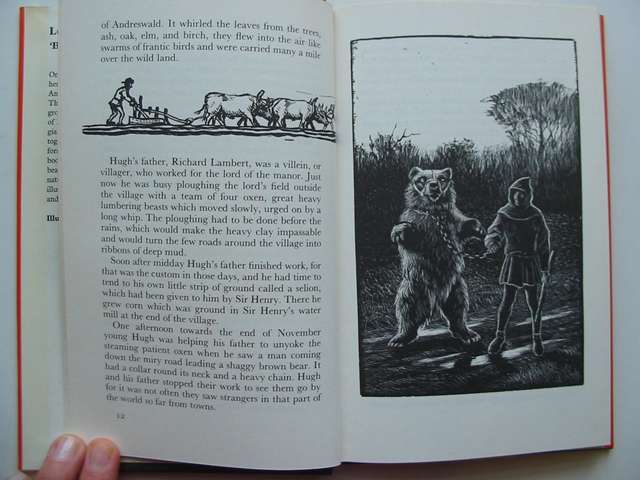 Photo of LORD OF THE FOREST written by BB,  illustrated by BB,  published by Methuen Children's Books (STOCK CODE: 813624)  for sale by Stella & Rose's Books