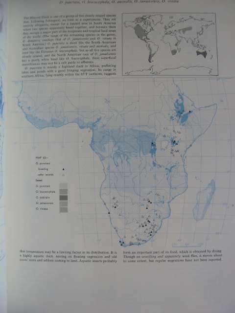 Photo of AN ATLAS OF SPECIATION IN AFRICAN NON-PASSERINE BIRDS written by Snow, David W. published by British Museum (STOCK CODE: 814611)  for sale by Stella & Rose's Books