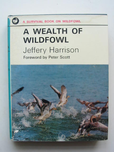 Photo of A WEALTH OF WILDFOWL written by Harrison, Jeffery published by Andre Deutsch (STOCK CODE: 823907)  for sale by Stella & Rose's Books