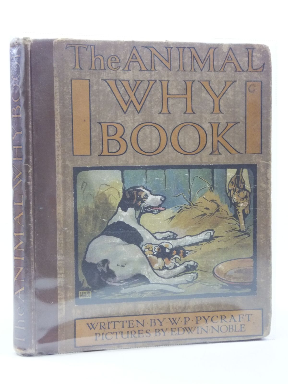 Photo of THE ANIMAL WHY BOOK written by Pycraft, W.P. illustrated by Noble, Edwin published by Wells Gardner, Darton &amp; Co. Ltd. (STOCK CODE: 988076)  for sale by Stella & Rose's Books